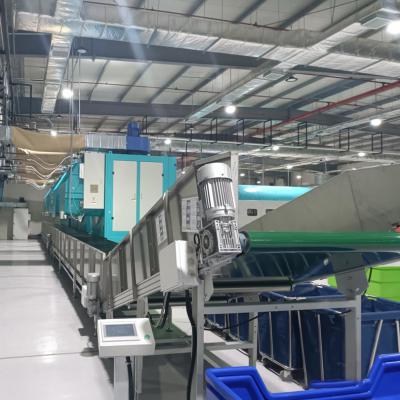 国产洗衣龙的品牌有哪些